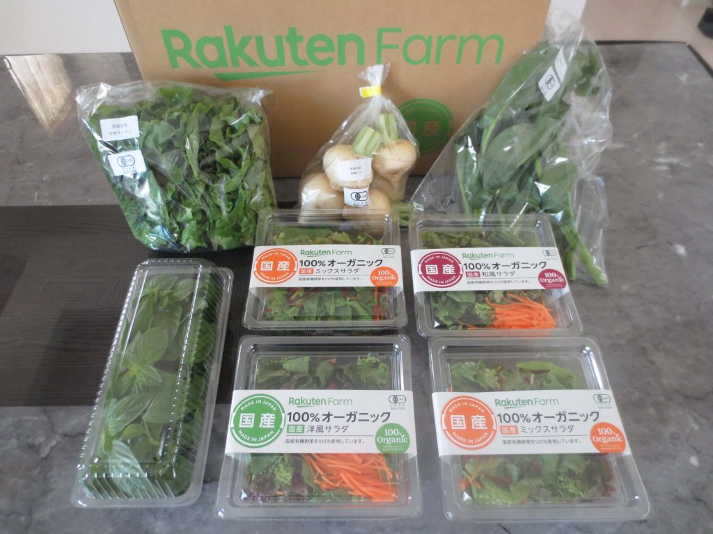 ボタニカルウエディング ふるさと納税 A-073 朝採り野菜とフルーツの定期便（12回） 山口県山口市 通販